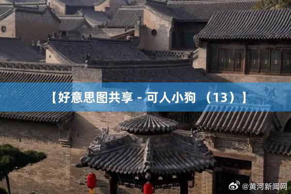 【好意思图共享 - 可人小狗 （13）】