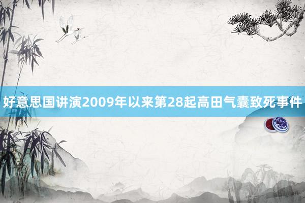 好意思国讲演2009年以来第28起高田气囊致死事件