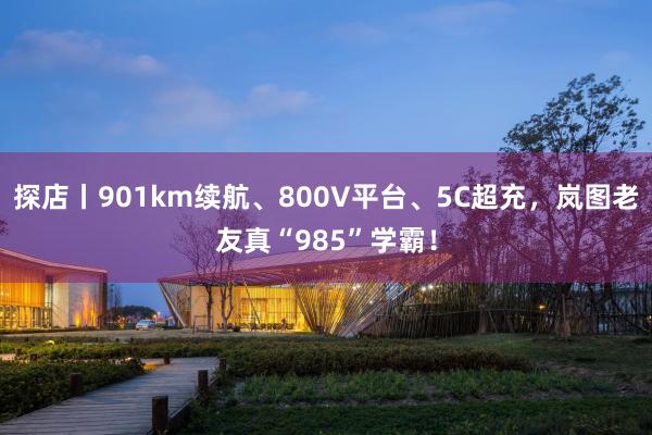 探店丨901km续航、800V平台、5C超充，岚图老友真“985”学霸！