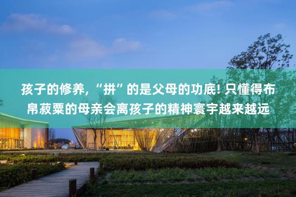 孩子的修养, “拼”的是父母的功底! 只懂得布帛菽粟的母亲会离孩子的精神寰宇越来越远