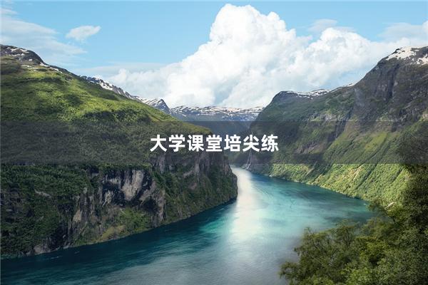 大学课堂培尖练