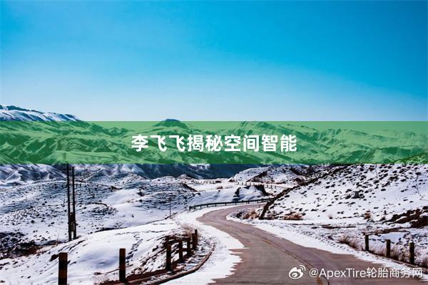 李飞飞揭秘空间智能