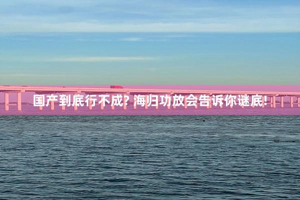 国产到底行不成? 海归功放会告诉你谜底!