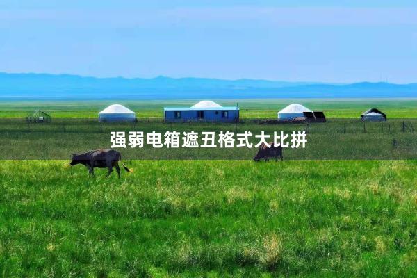 强弱电箱遮丑格式大比拼
