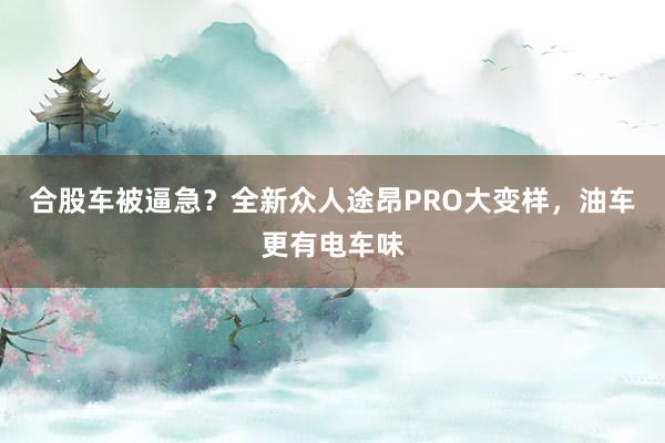 合股车被逼急？全新众人途昂PRO大变样，油车更有电车味