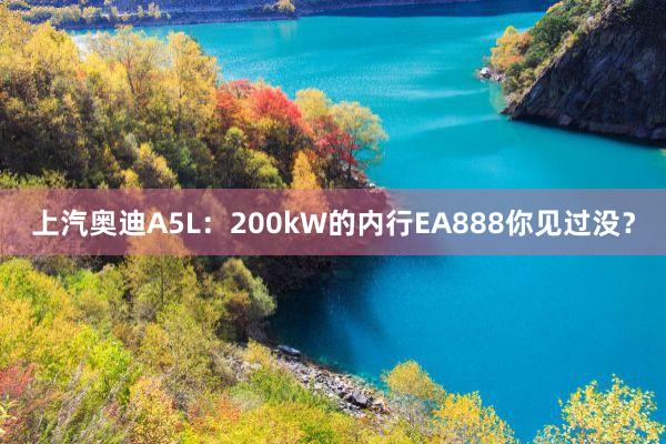 上汽奥迪A5L：200kW的内行EA888你见过没？