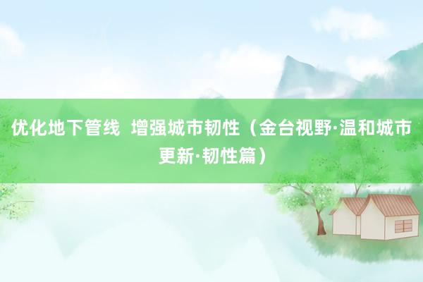 优化地下管线  增强城市韧性（金台视野·温和城市更新·韧性篇）