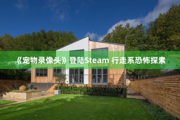 《宠物录像头》登陆Steam 行走系恐怖探索