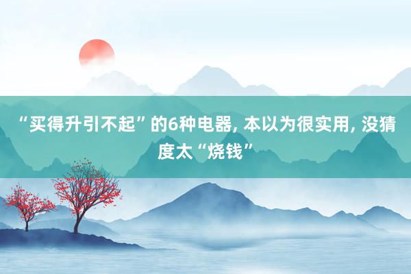 “买得升引不起”的6种电器, 本以为很实用, 没猜度太“烧钱”