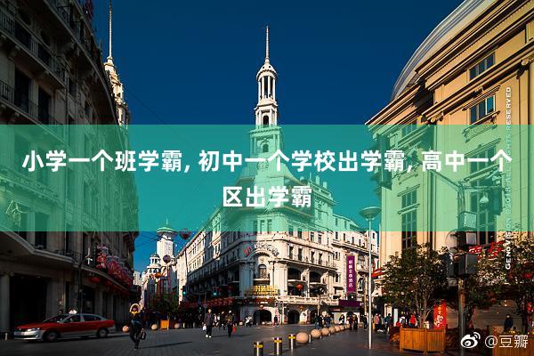 小学一个班学霸, 初中一个学校出学霸, 高中一个区出学霸
