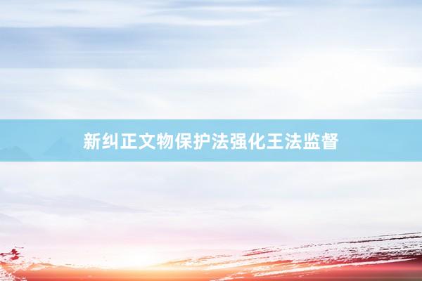 新纠正文物保护法强化王法监督