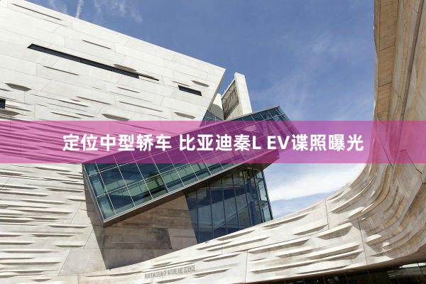 定位中型轿车 比亚迪秦L EV谍照曝光