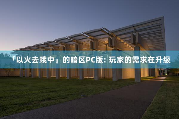 「以火去蛾中」的暗区PC版: 玩家的需求在升级