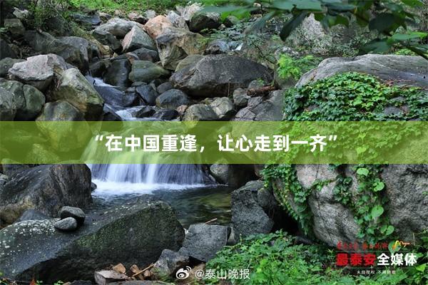 “在中国重逢，让心走到一齐”