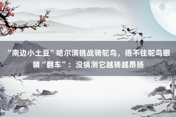“南边小土豆”哈尔滨挑战骑鸵鸟，捂不住鸵鸟眼睛“翻车”：没猜测它越骑越昂扬
