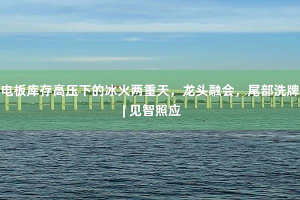 电板库存高压下的冰火两重天，龙头融会，尾部洗牌 | 见智照应