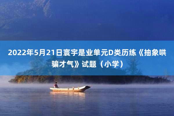 2022年5月21日寰宇是业单元D类历练《抽象哄骗才气》试题（小学）