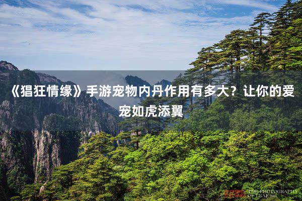《猖狂情缘》手游宠物内丹作用有多大？让你的爱宠如虎添翼