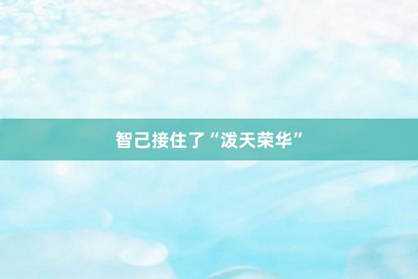 智己接住了“泼天荣华”