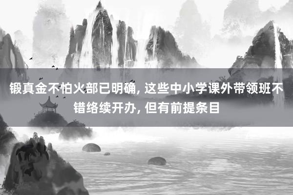 锻真金不怕火部已明确, 这些中小学课外带领班不错络续开办, 但有前提条目