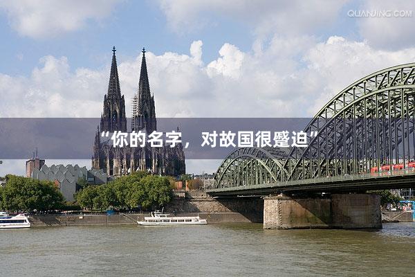 “你的名字，对故国很蹙迫”