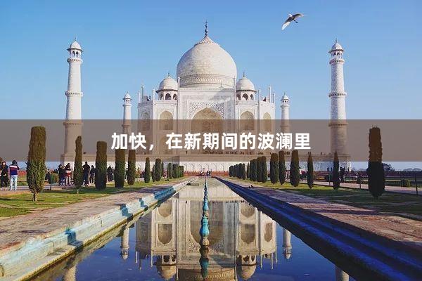 加快，在新期间的波澜里