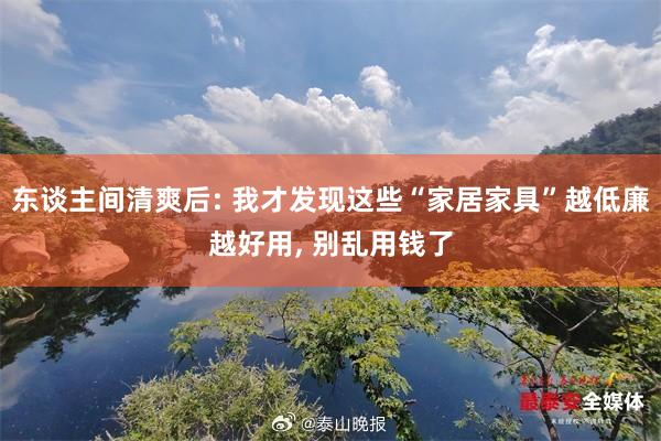 东谈主间清爽后: 我才发现这些“家居家具”越低廉越好用, 别乱用钱了