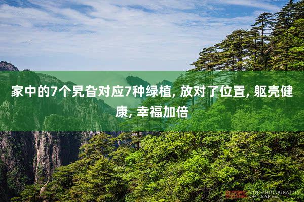家中的7个旯旮对应7种绿植, 放对了位置, 躯壳健康, 幸福加倍