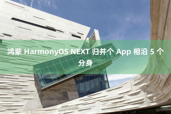 鸿蒙 HarmonyOS NEXT 归并个 App 相沿 5 个分身
