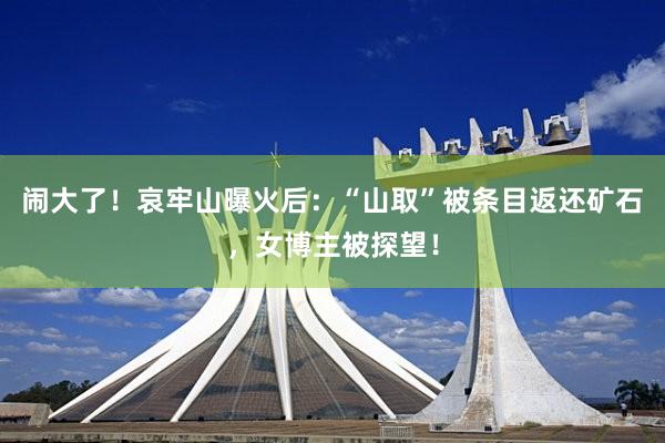 闹大了！哀牢山曝火后：“山取”被条目返还矿石，女博主被探望！