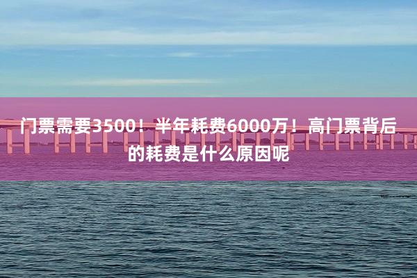 门票需要3500！半年耗费6000万！高门票背后的耗费是什么原因呢