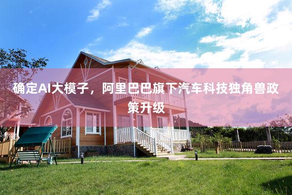 确定AI大模子，阿里巴巴旗下汽车科技独角兽政策升级