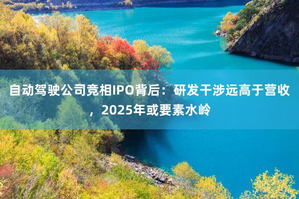 自动驾驶公司竞相IPO背后：研发干涉远高于营收，2025年或要素水岭
