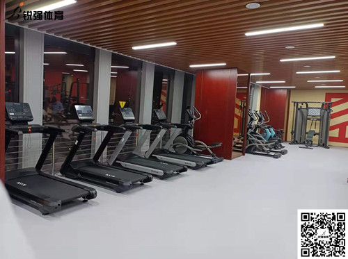 BB贝博艾弗森完成的济南某部门单位健身房