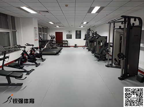 济南某集团采购的BB贝博艾弗森提供的健身器材